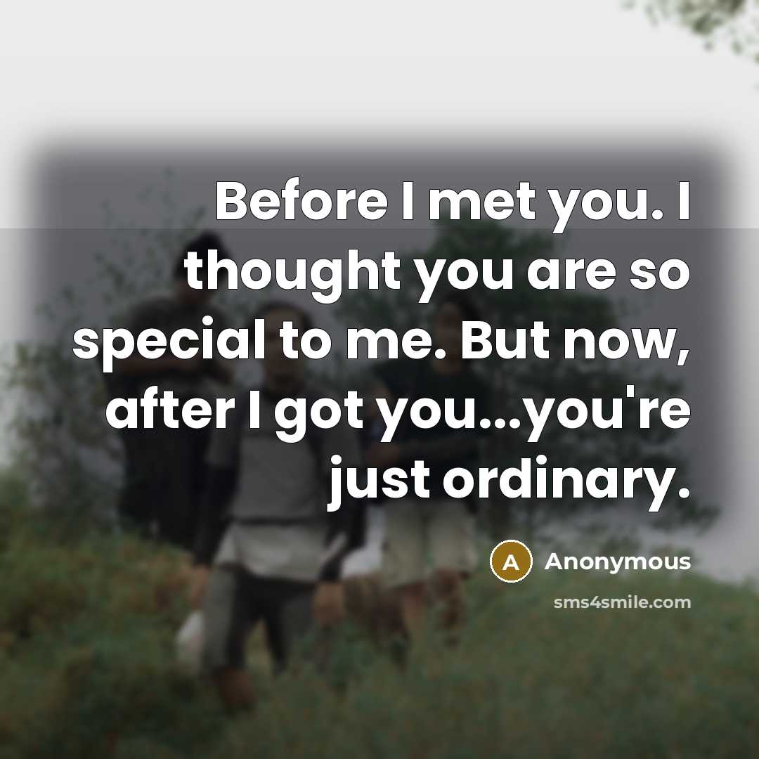 “Before I met you. I thought you are so special to me. But now, after I got you...you're just ordinary.” quote by Anonymous