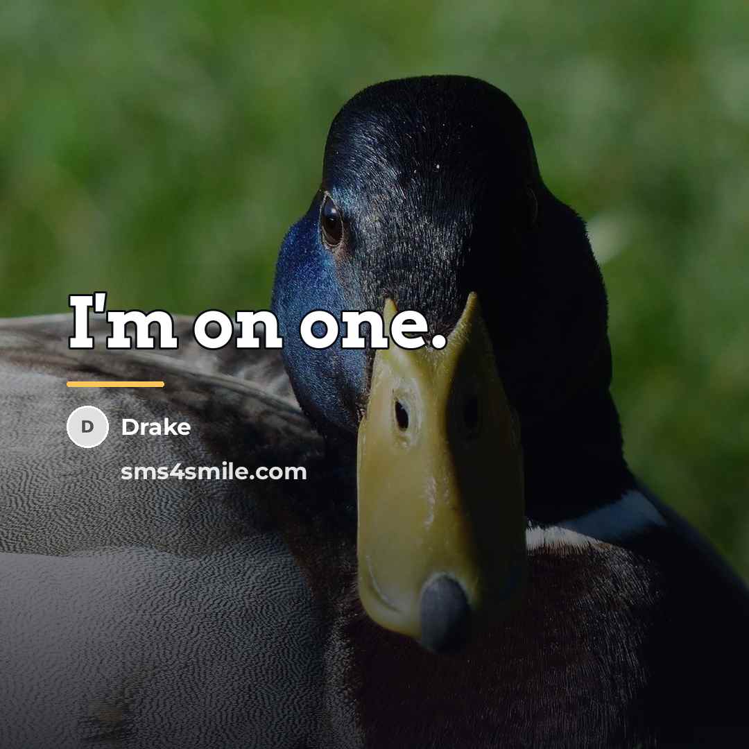“I'm on one.…” quote by Drake