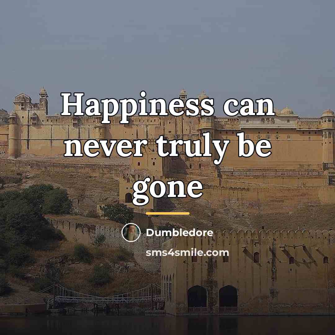 “Happiness can never truly be gone…” quote by Dumbledore