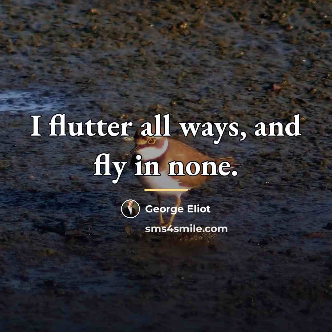 “I flutter all ways, and fly in none.…” quote by George Eliot