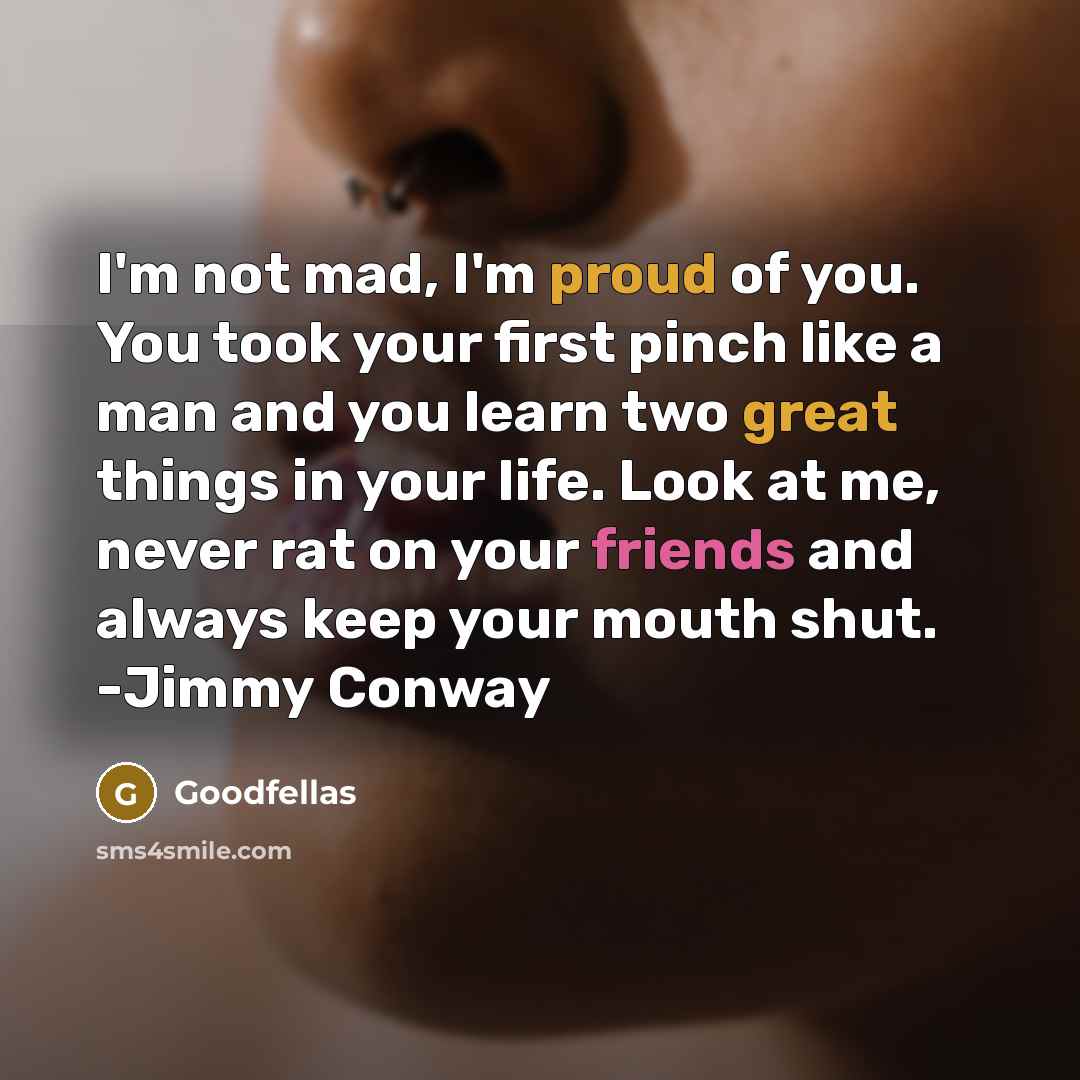 “I'm not mad, I'm proud of you. You took your…” quote by Goodfellas