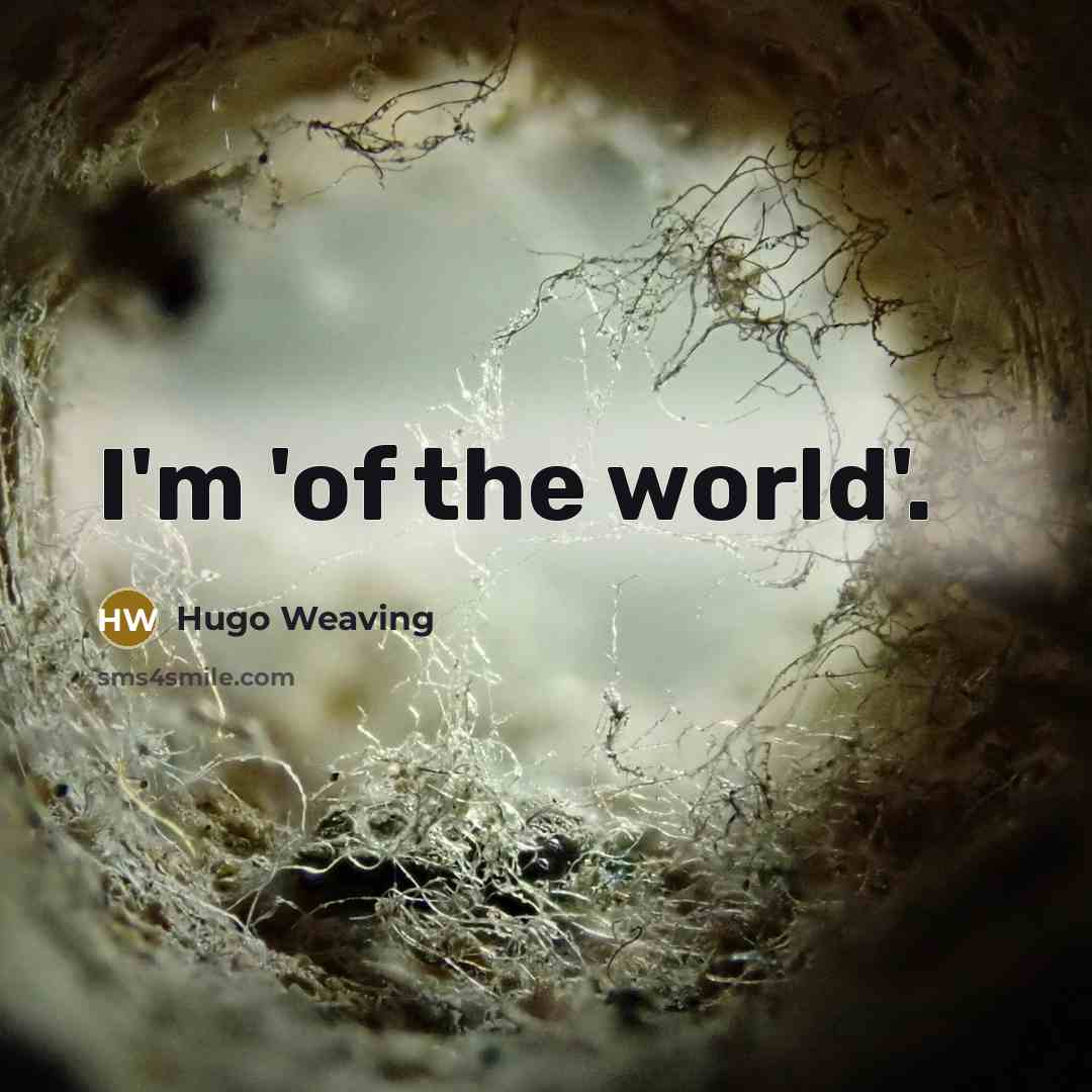 “I'm 'of the world'.…” quote by Hugo Weaving