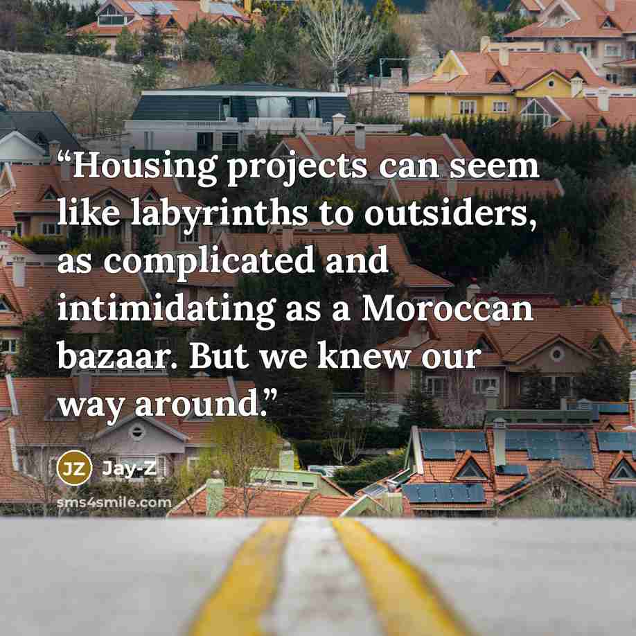 “Housing projects can seem like labyrinths to outsiders, as complicated and intimidating as a Moroccan bazaar. But we knew our way around.” quote by Jay-Z