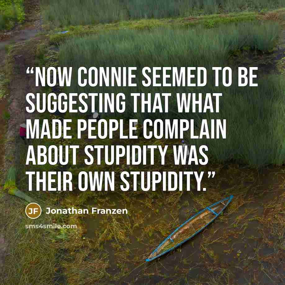 “Now Connie seemed to be suggesting that what made people complain about stupidity was their own stupidity.” quote by Jonathan Franzen