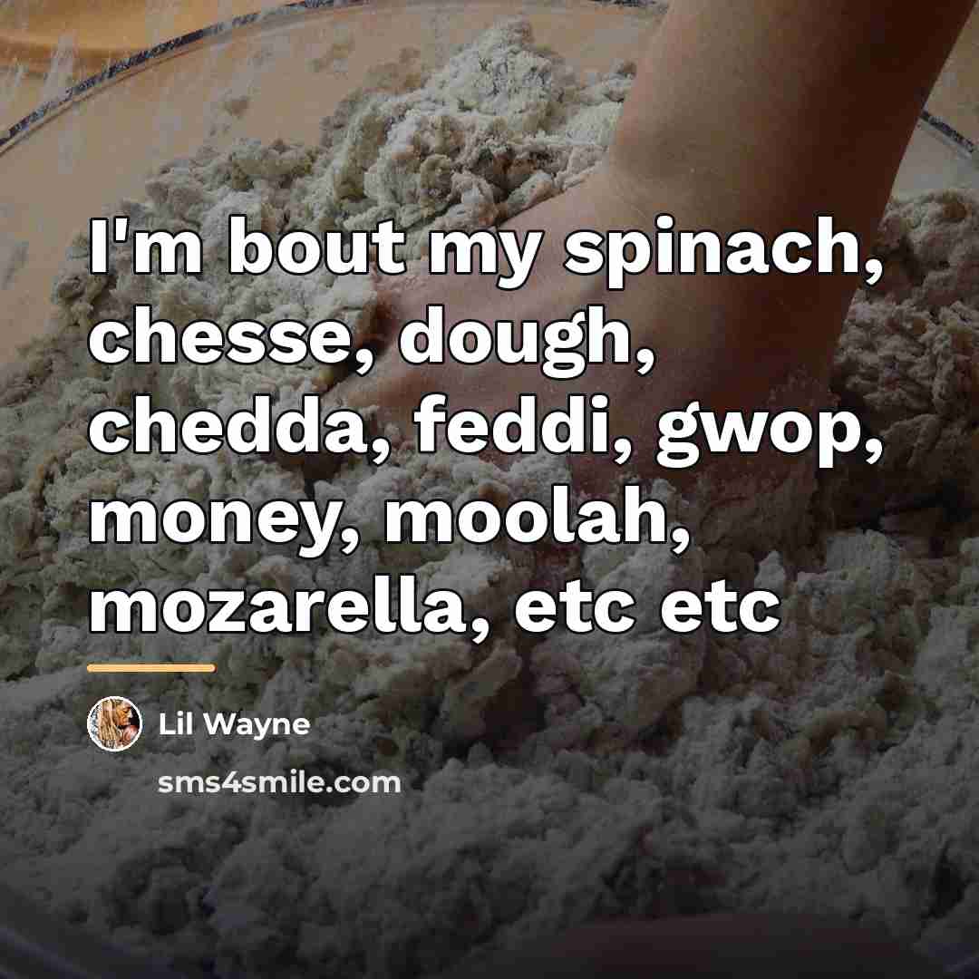 “I'm bout my spinach, chesse, dough, chedda, feddi, gwop, money,…” quote by Lil Wayne