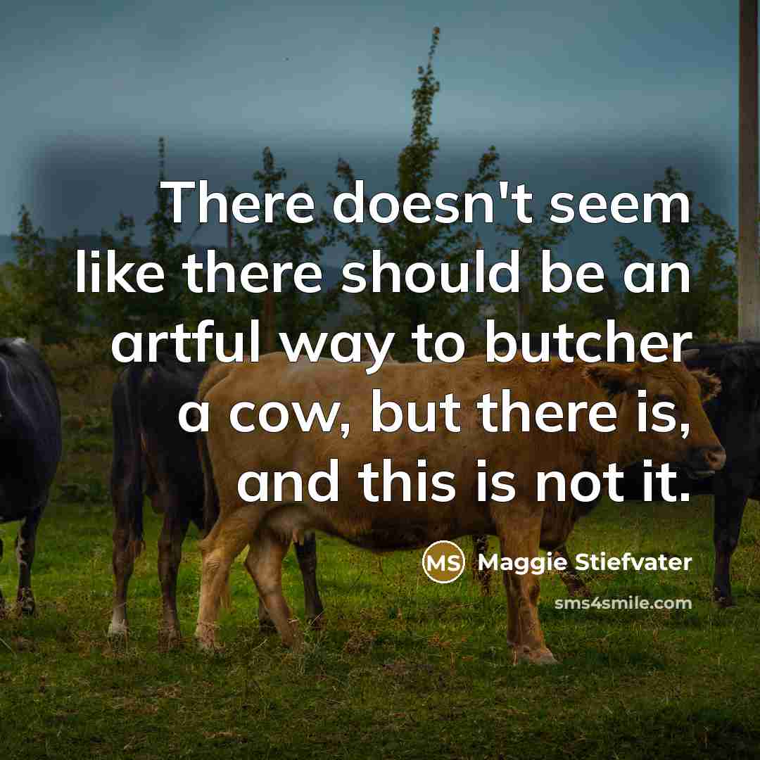 “There doesn't seem like there should be an artful way…” quote by Maggie Stiefvater
