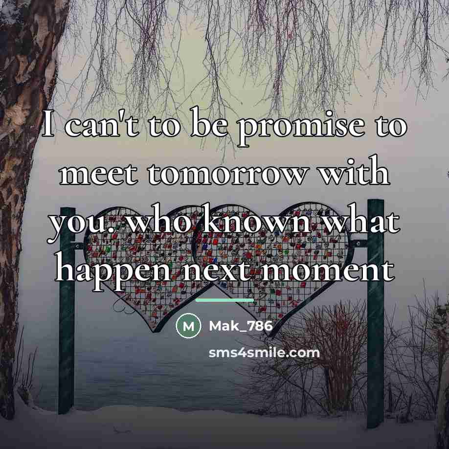 “I can't to be promise to meet tomorrow with you.…” quote by Mak_786