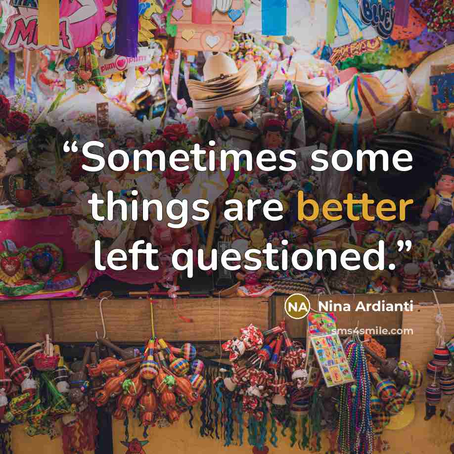 “Sometimes some things are better left questioned.” quote by Nina Ardianti