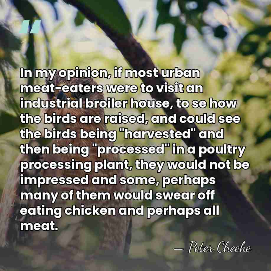 In my opinion, if most urban meat-eaters were to visit an industrial&hellip; - Peter Cheeke