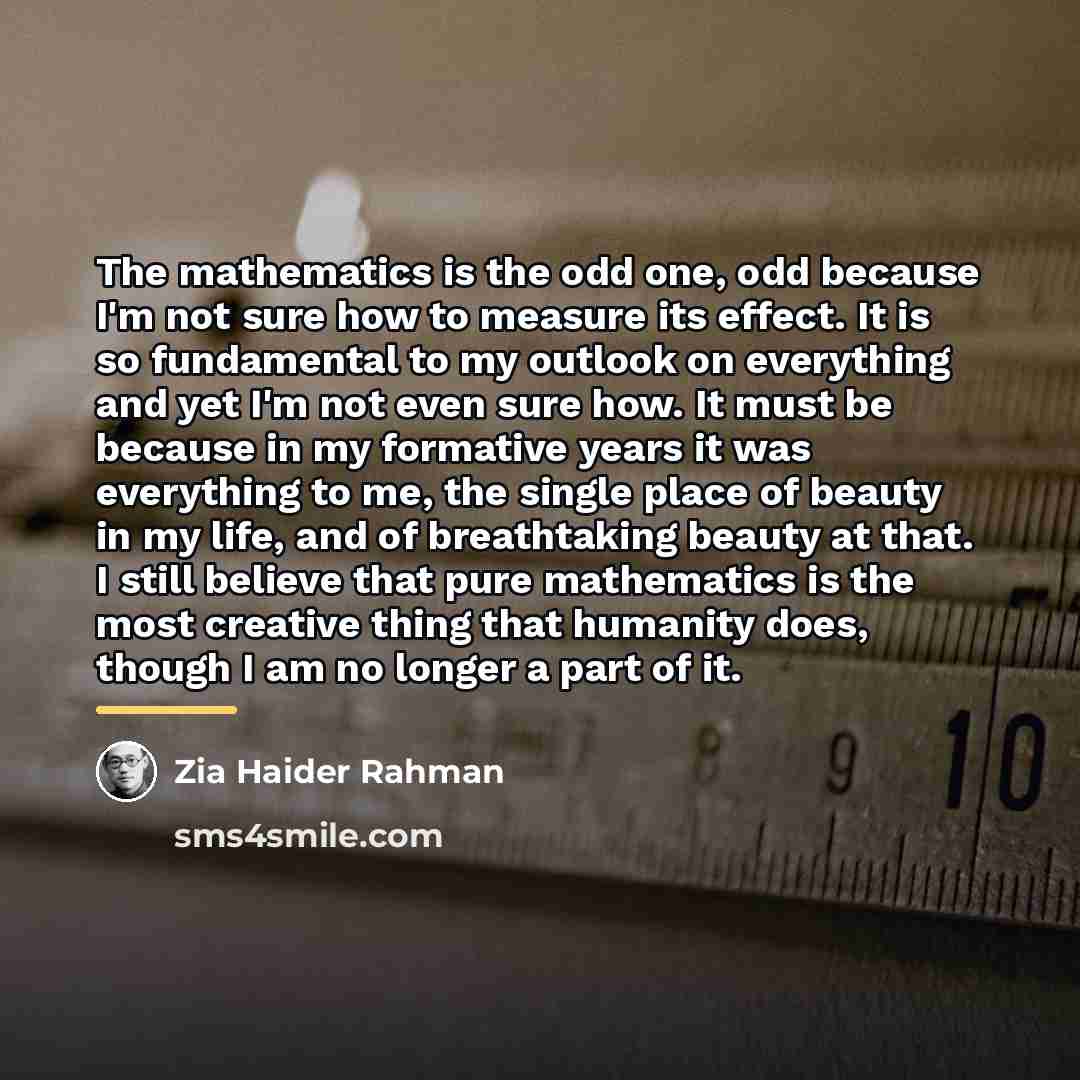 “The mathematics is the odd one, odd because I'm not…” quote by Zia Haider Rahman