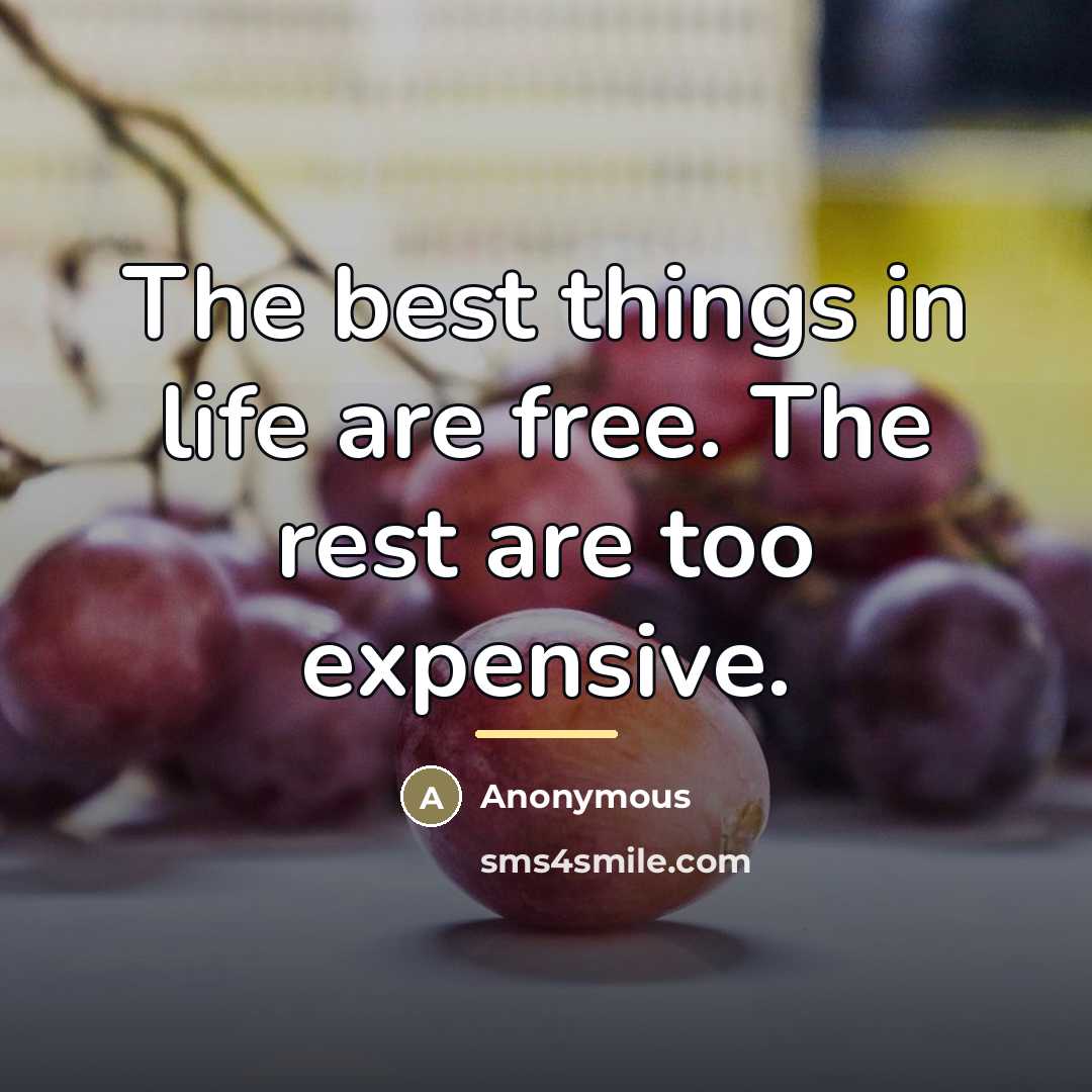 “The best things in life are free. The rest are…” quote by Anonymous