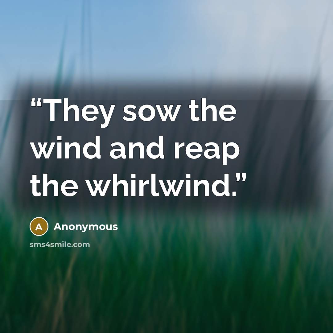 “They sow the wind and reap the whirlwind.” quote by Anonymous