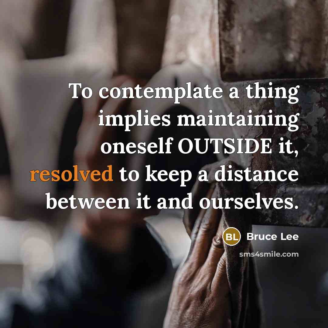 “To contemplate a thing implies maintaining oneself OUTSIDE it, resolved to keep a distance between it and ourselves.” quote by Bruce Lee