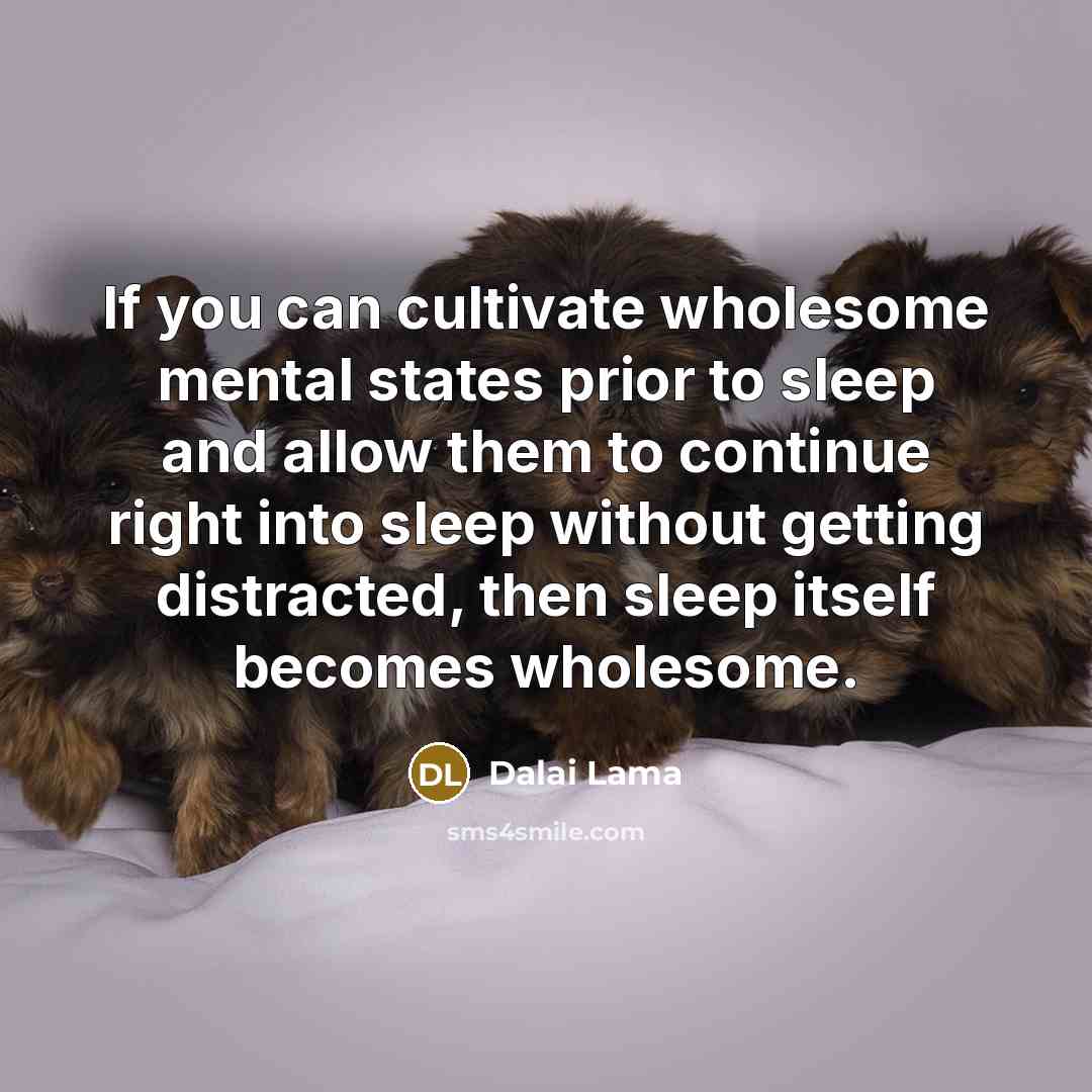 “If you can cultivate wholesome mental states prior to sleep…” quote by Dalai Lama