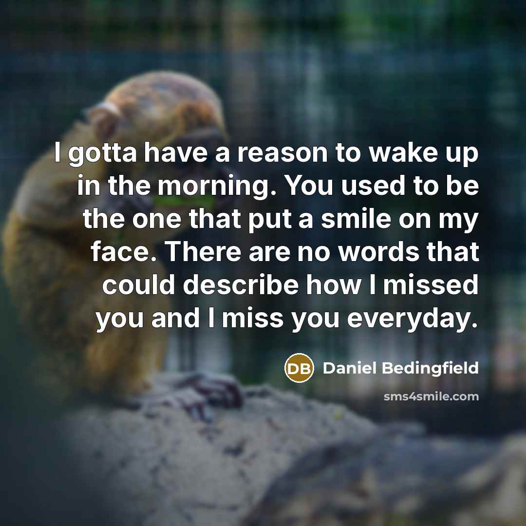 “I gotta have a reason to wake up in the morning. You used to be the one that put a smile on my face. There are no words that could describe how I missed you and I miss you everyday.” quote by Daniel Bedingfield