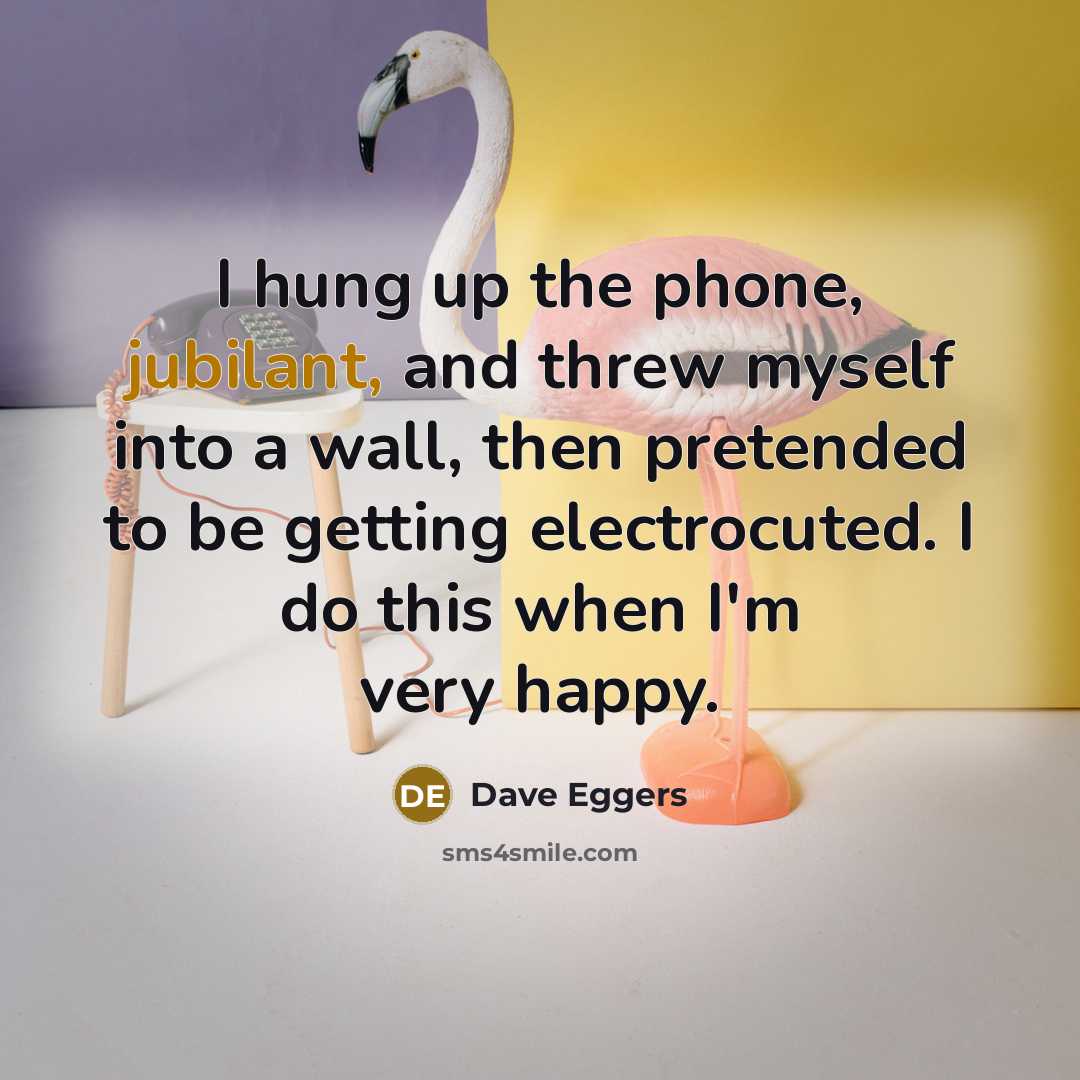 “I hung up the phone, jubilant, and threw myself into…” quote by Dave Eggers
