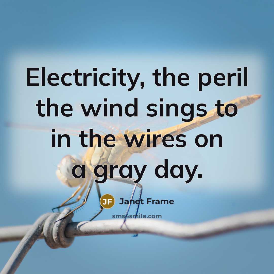“Electricity, the peril the wind sings to in the wires…” quote by Janet Frame