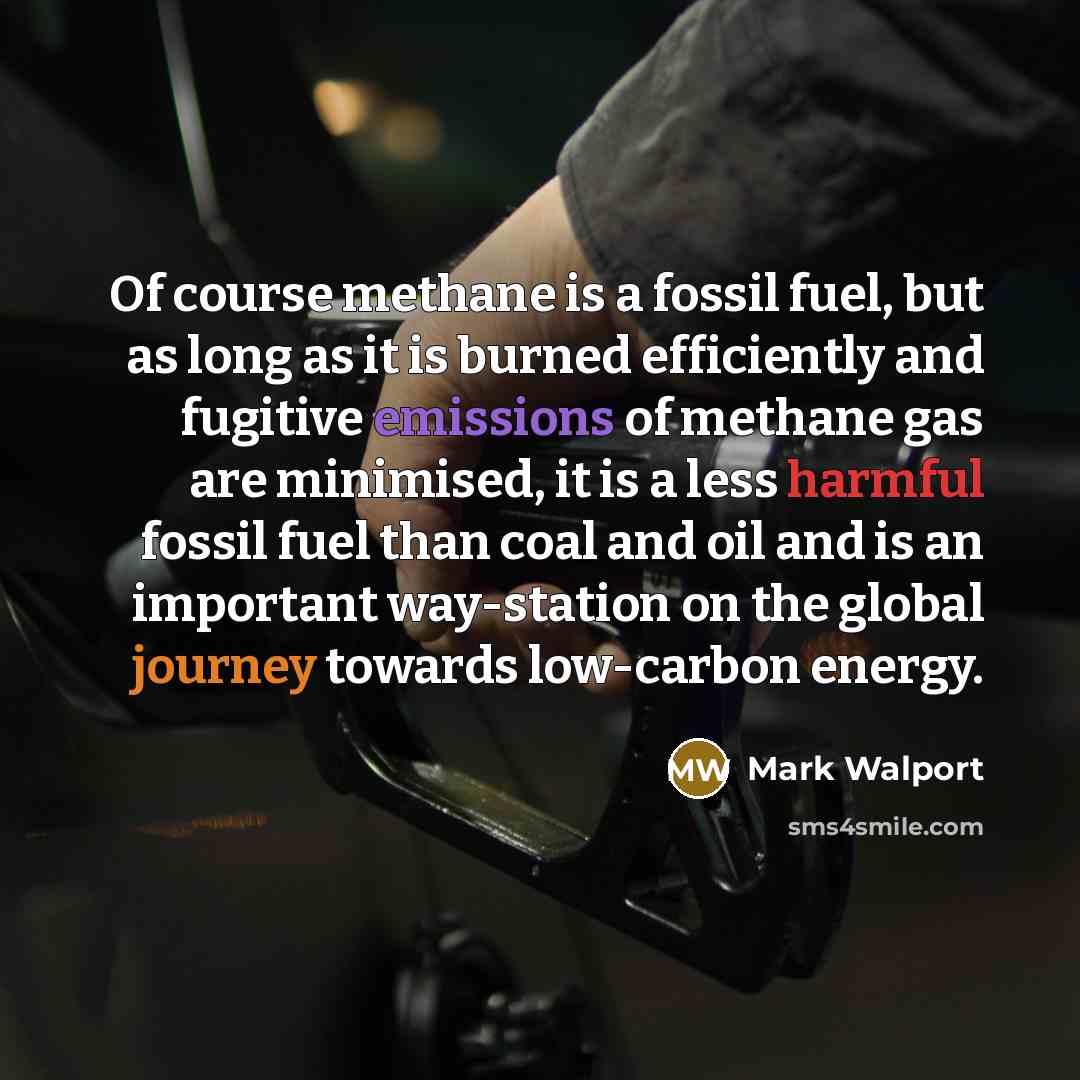 “Of course methane is a fossil fuel, but as long as it is burned efficiently and fugitive emissions of methane gas are minimised, it is a less harmful fossil fuel than coal and oil and is an important way-station on the global journey towards low-carbon energy.” quote by Mark Walport