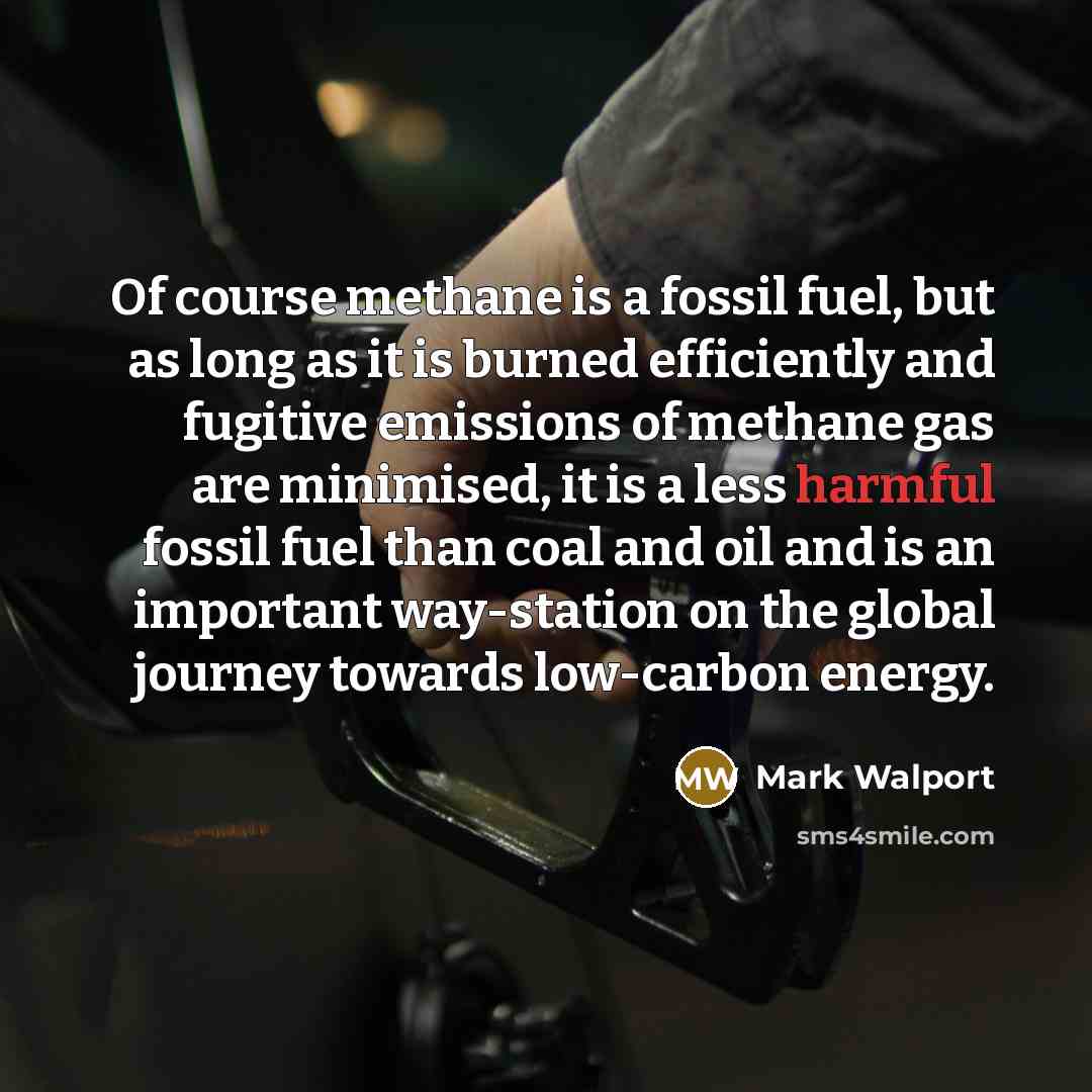 “Of course methane is a fossil fuel, but as long…” quote by Mark Walport