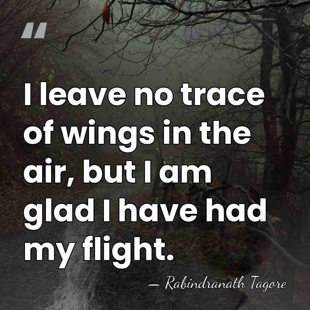 I leave no trace of wings in the air, but I am&hellip; - Rabindranath Tagore
