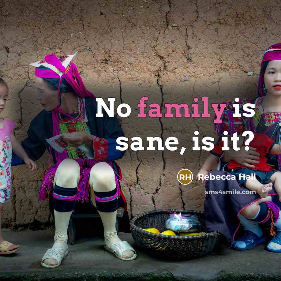 “No family is sane, is it?…” quote by Rebecca Hall