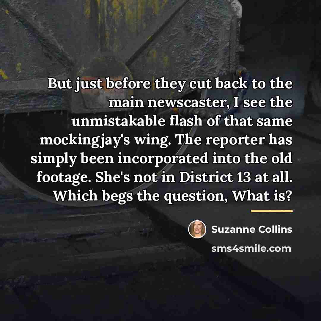 “But just before they cut back to the main newscaster,…” quote by Suzanne Collins