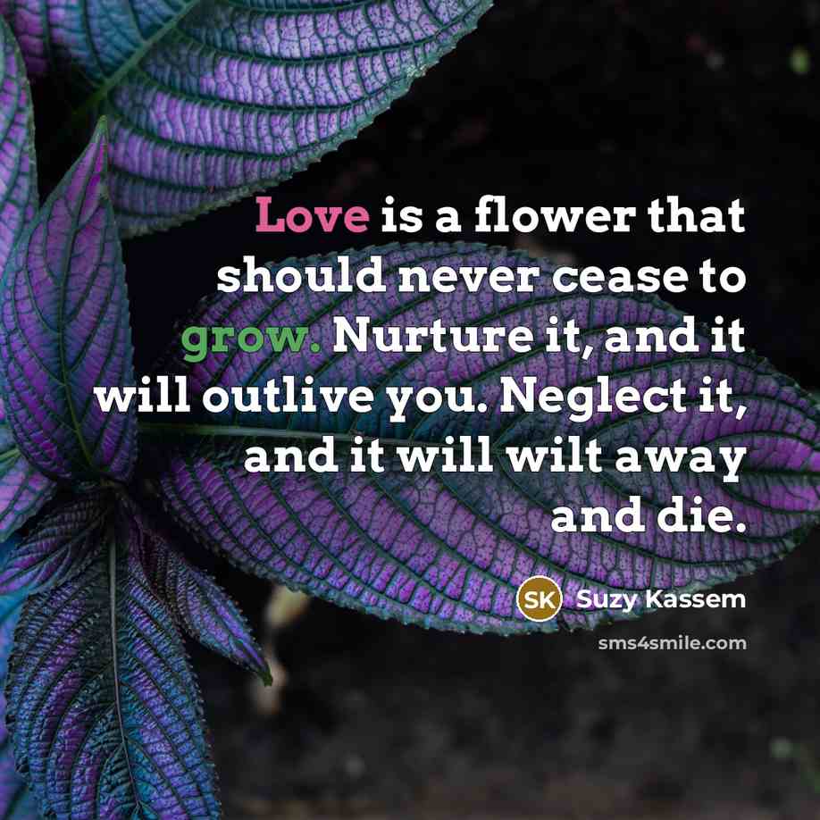 “Love is a flower that should never cease to grow.…” quote by Suzy Kassem