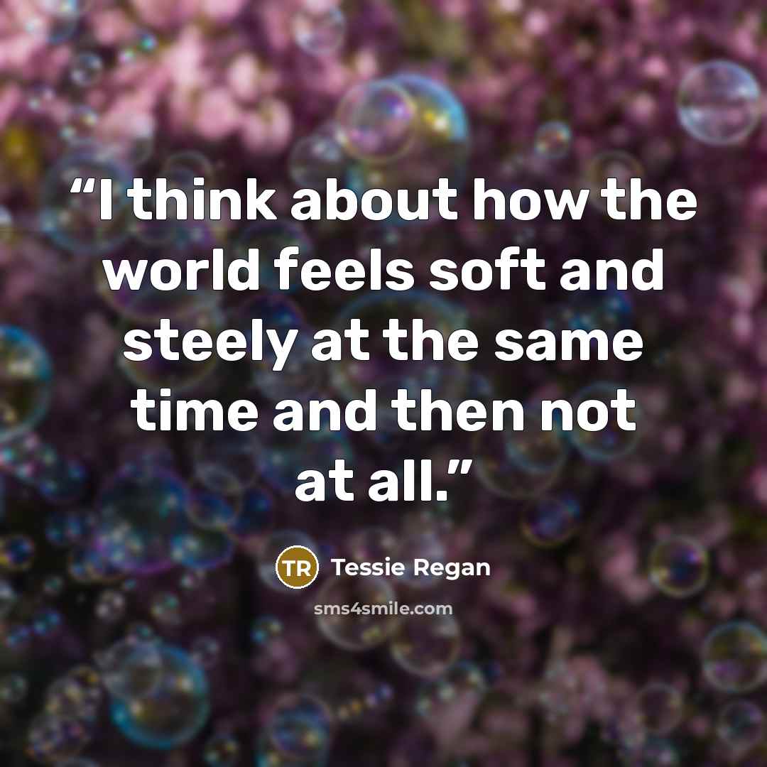 “I think about how the world feels soft and steely at the same time and then not at all.” quote by Tessie Regan