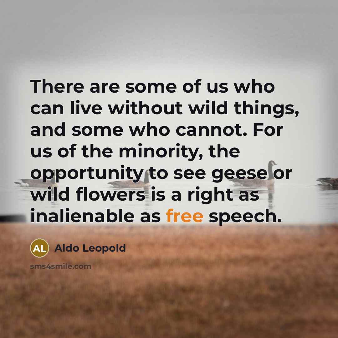 “There are some of us who can live without wild…” quote by Aldo Leopold