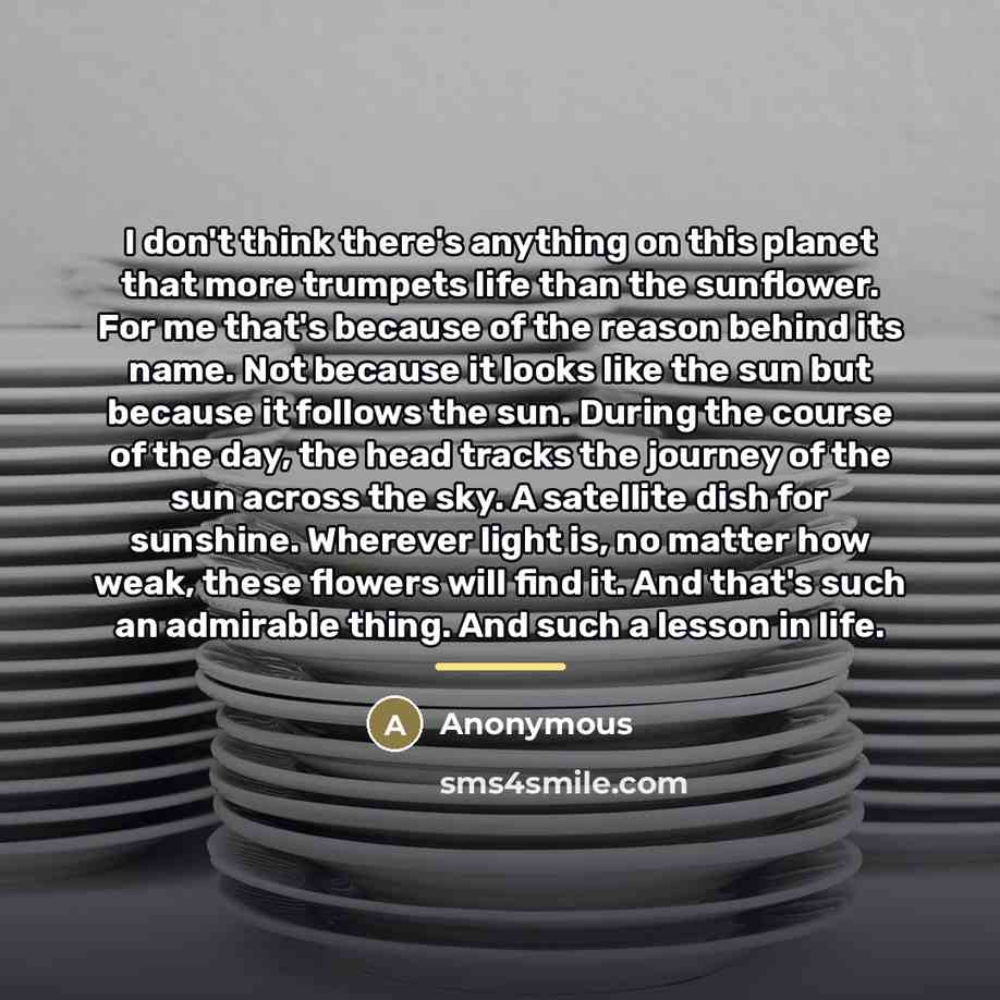 “I don't think there's anything on this planet that more…” quote by Anonymous