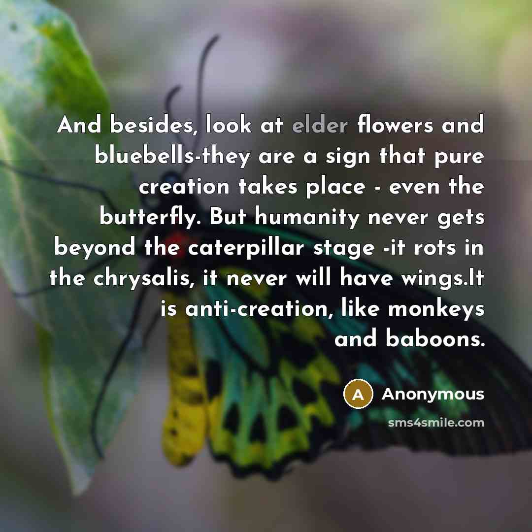 “And besides, look at elder flowers and bluebells-they are a…” quote by Anonymous