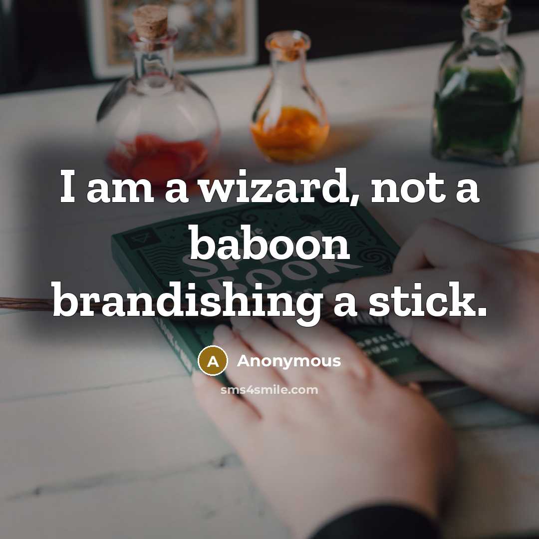 “I am a wizard, not a baboon brandishing a stick.…” quote by Anonymous