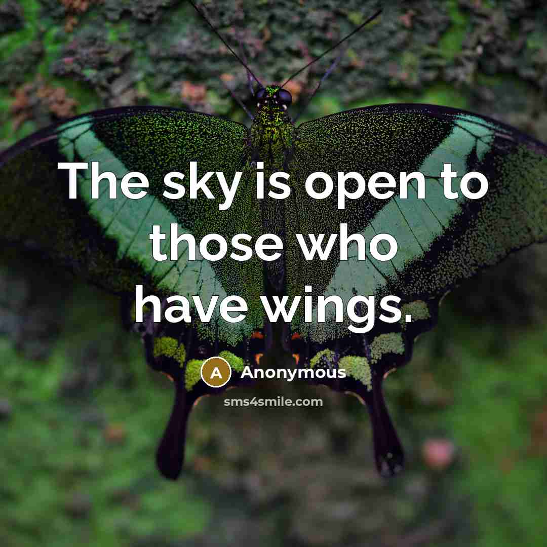 “The sky is open to those who have wings.” quote by Anonymous