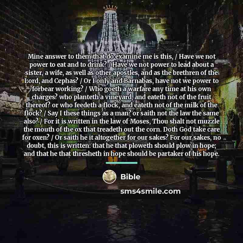 “Mine answer to them that do examine me is this,…” quote by Bible