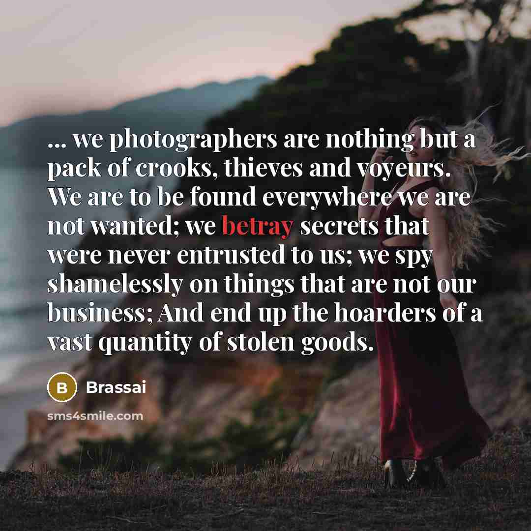 “... we photographers are nothing but a pack of crooks,…” quote by Brassai