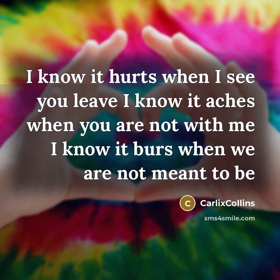 “I know it hurts when I see you leave I…” quote by CarlixCollins