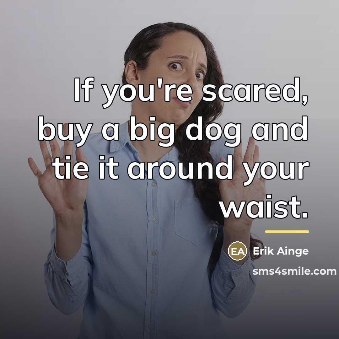 “If you're scared, buy a big dog and tie it…” quote by Erik Ainge