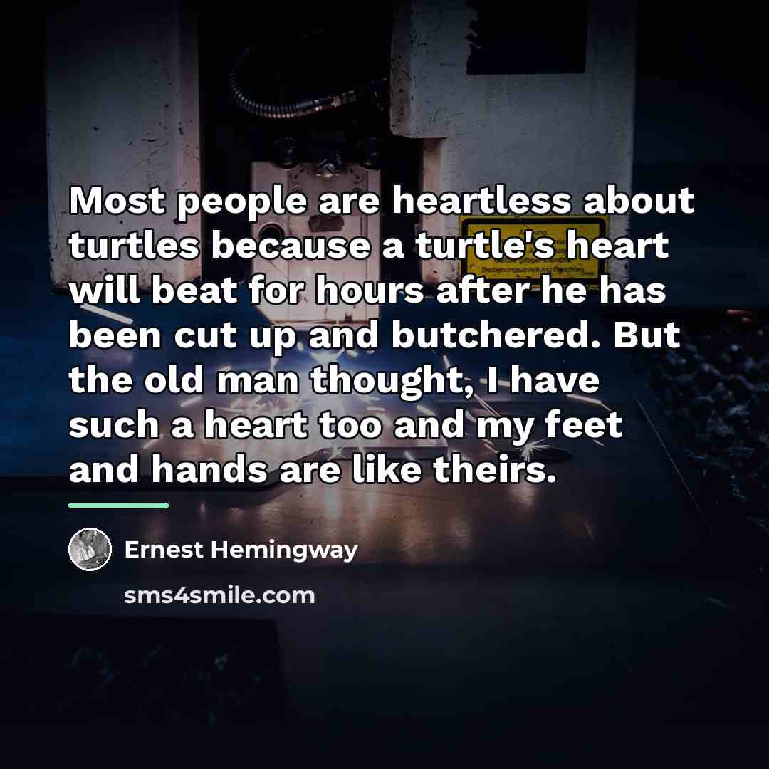 “Most people are heartless about turtles because a turtle's heart…” quote by Ernest Hemingway