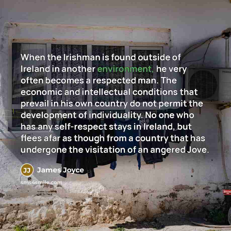 “When the Irishman is found outside of Ireland in another…” quote by James Joyce