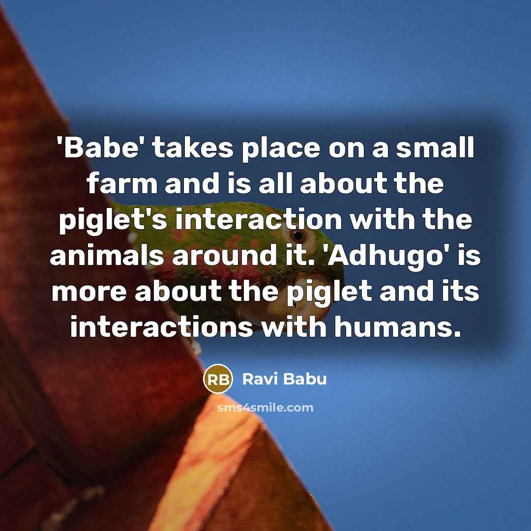 “'Babe' takes place on a small farm and is all…” quote by Ravi Babu