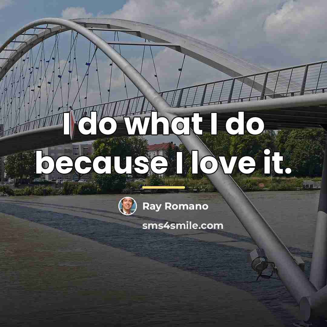 “I do what I do because I love it.…” quote by Ray Romano