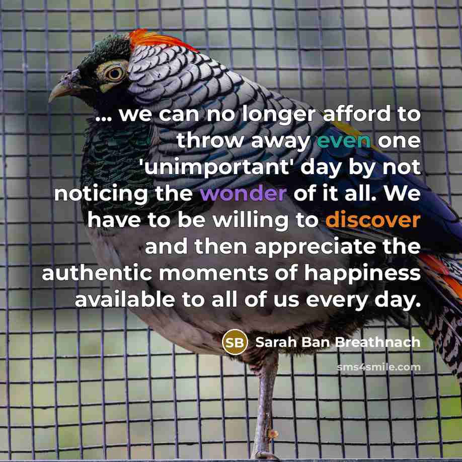 “... we can no longer afford to throw away even…” quote by Sarah Ban Breathnach