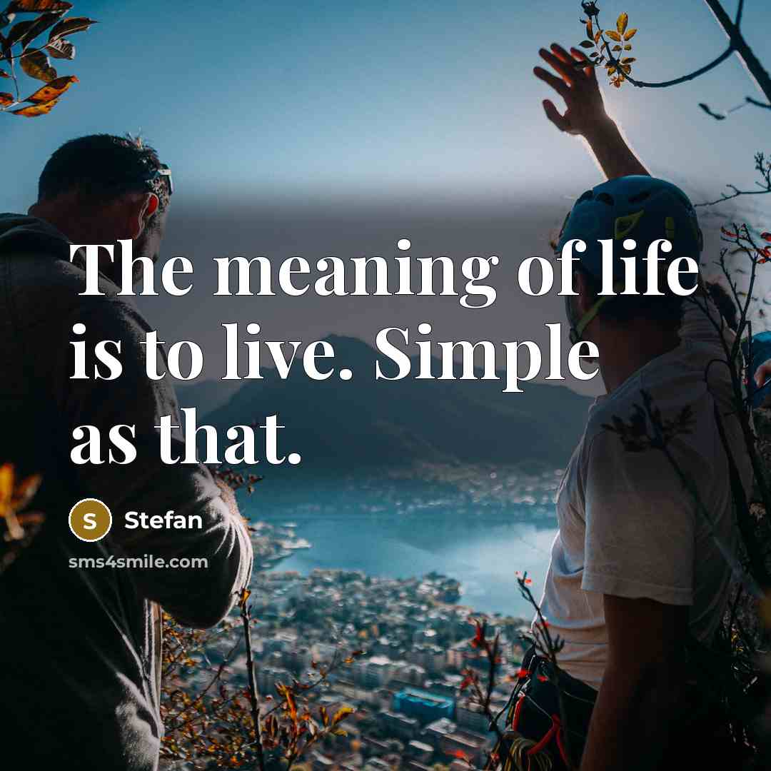 “The meaning of life is to live. Simple as that.…” quote by Stefan