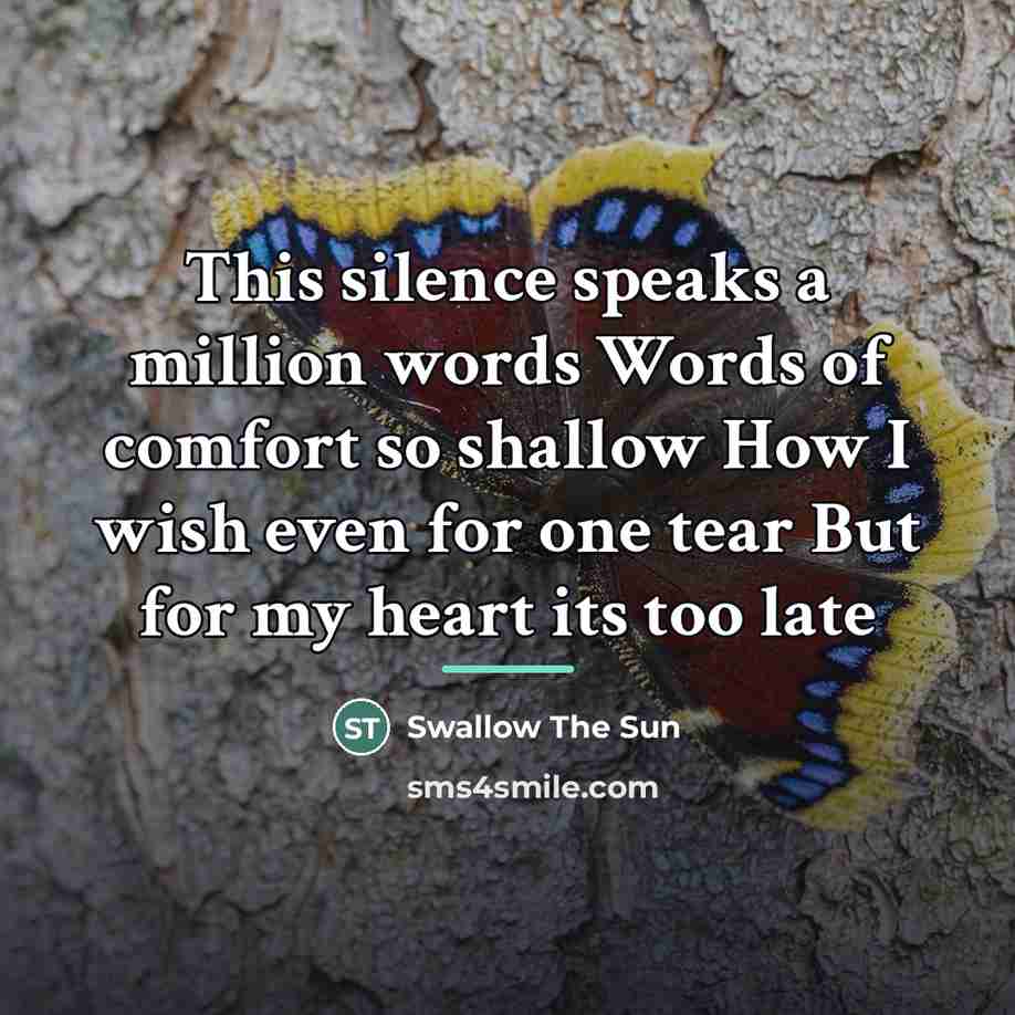 “This silence speaks a million words Words of comfort so…” quote by Swallow The Sun