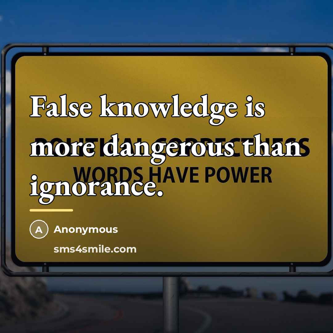 “False knowledge is more dangerous than ignorance.…” quote by Anonymous
