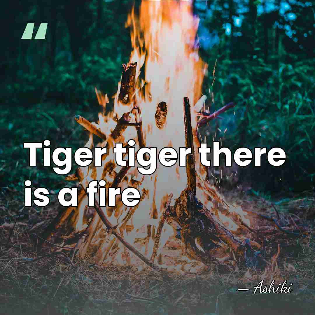 Tiger tiger there is a fire - Ashiki