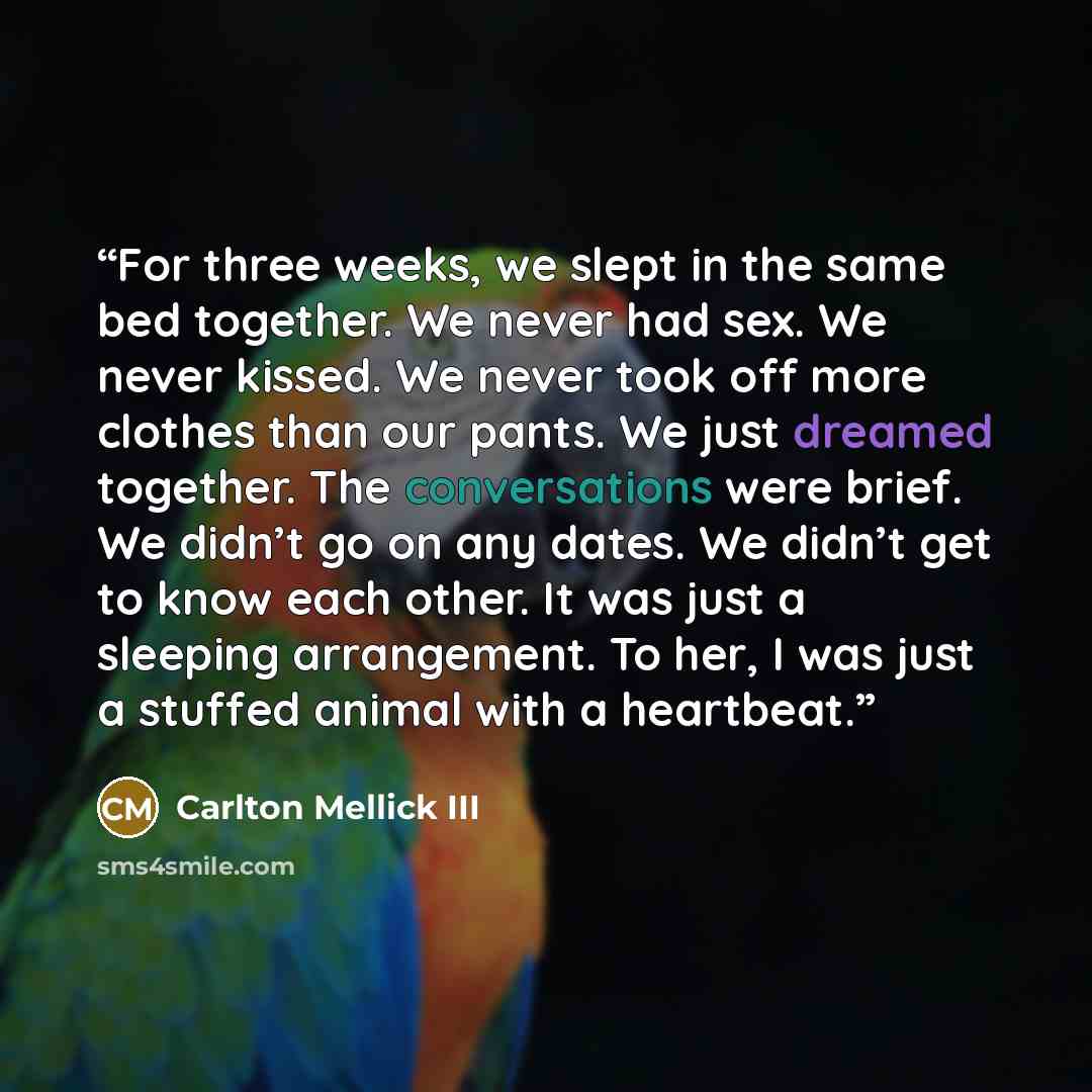 “For three weeks, we slept in the same bed together. We never had sex. We never kissed. We never took off more clothes than our pants. We just dreamed together. The conversations were brief. We didn’t go on any dates. We didn’t get to know each other. It was just a sleeping arrangement. To her, I…” quote by Carlton Mellick III