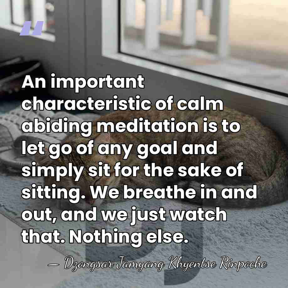 An important characteristic of calm abiding meditation is to let go of&hellip; - Dzongsar Jamyang Khyentse Rinpoche