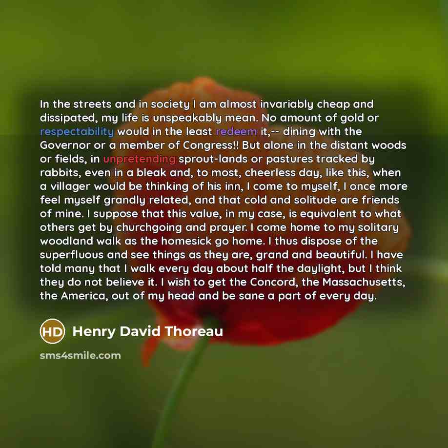 “In the streets and in society I am almost invariably…” quote by Henry David Thoreau
