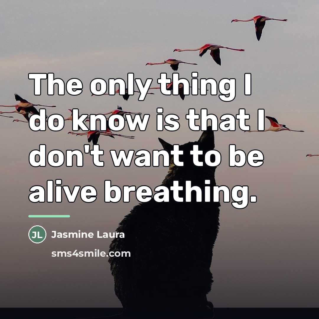 “The only thing I do know is that I don't…” quote by Jasmine Laura